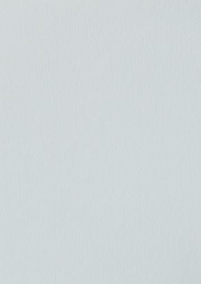 RENOLIT EXOFOL PX LIGHT GREY 7251 